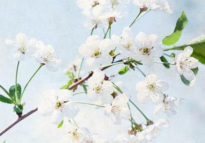 亲情不如友情的句子(汇总40句)