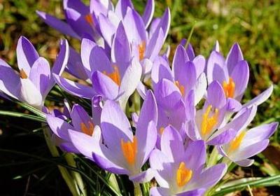 亲弟弟幽默笑话句子(精选18句)