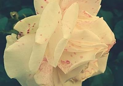 亲家相聚的句子(精选48句)