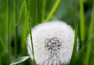 亲戚真会搞笑句子(汇总10句)