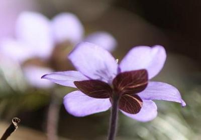 亲戚送别的句子(优选61句)