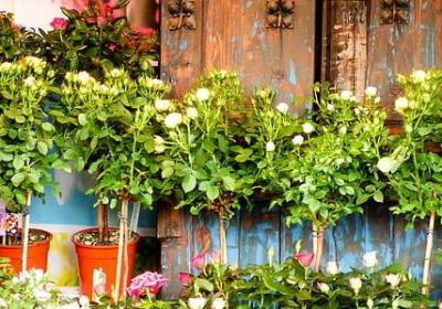 人不能重蹈覆辙的句子(69句)