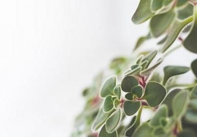 人倒霉的句子(40句)