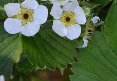 人与面相的句子(精选60句)