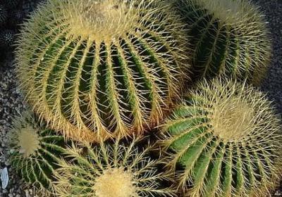 乘胜归来的文案句子(精选70句)