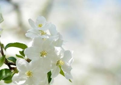 五一伤心绝望的句子(合集40句)