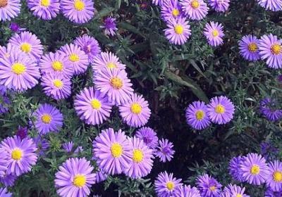 互相学习的句子(通用60句)