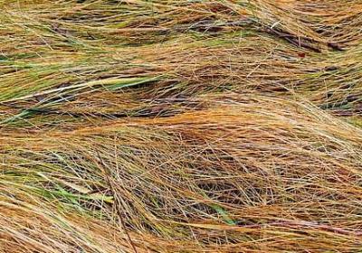 五字句子爱情句子(实用80句)