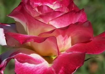 交往说句子(共40句)