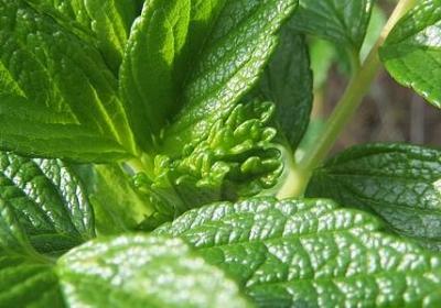 享受青春的句子(共15句)