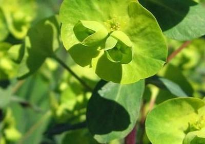 享受太阳的句子(实用50句)