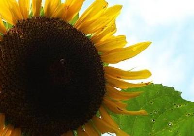 享受晚上看书的句子(必备60句)