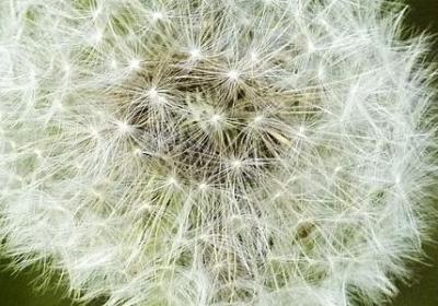 享受一个人生活 好句子(通用15句)