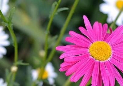 亲人走时的感受句子(推荐50句)