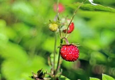 亲人缅怀父亲的句子(共78句)