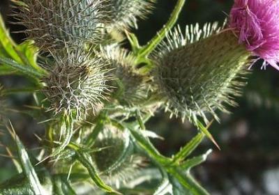 亲情服务客户句子(合集10句)