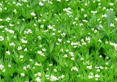 人不能多话的句子(合集50句)