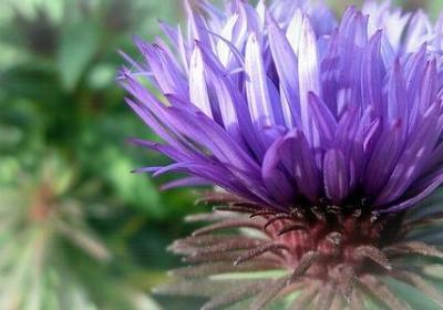 人前装傻的句子说说(推荐60句)