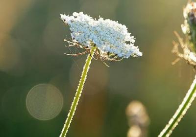 云南旅行的句子(优选13句)