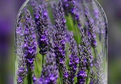 五一还在工作的人句子(通用15句)