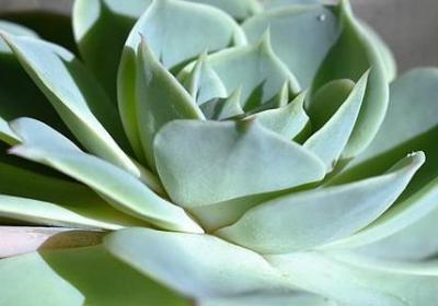 互相宽容的夫妻句子(合集10句)