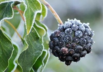 五点半醒来句子(优选15句)