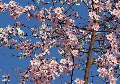 五月正能量句子(合集11句)