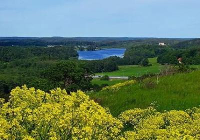 五年级打比方的句子(推荐30句)