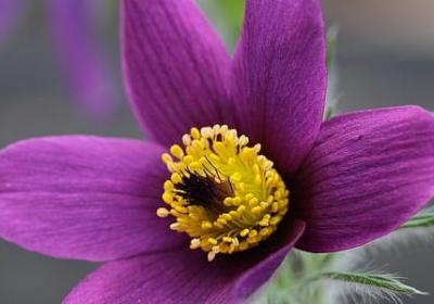 享受美景的句子(实用50句)