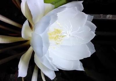 享受生活灿烂的句子(合集80句)