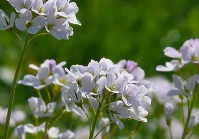 亲人在一起快乐的句子(热门30句)