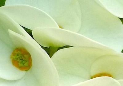 亲人的句子造句简单(热门40句)