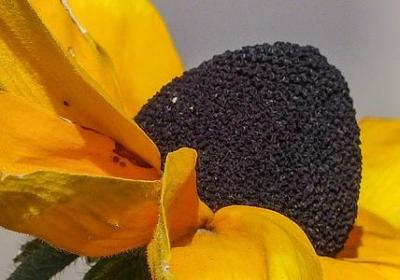 亲戚生日的句子搞笑(优选80句)