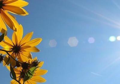 亲情的感人回忆句子(60句)