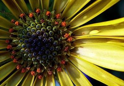 亲情友情爱情的句子(共30句)