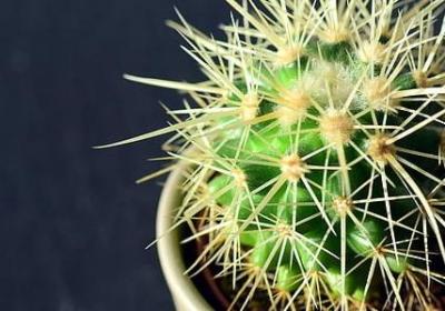 云祭奠句子(必备10句)