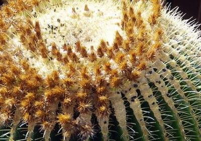 五一节日快乐的句子(推荐80句)