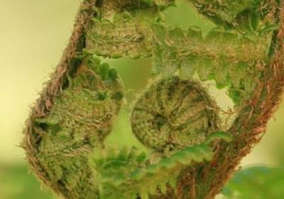 五年级上册英语书单词句子(汇总70句)