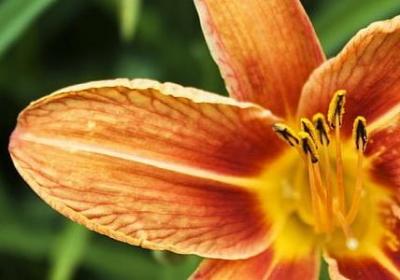 产品的句子(精选40句)