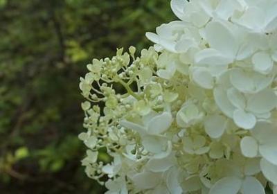 享受大自然的心情句子(合集10句)