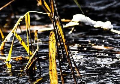 亲子装经典句子(60句)