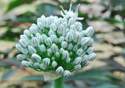 亲人即将离世的句子(合集60句)