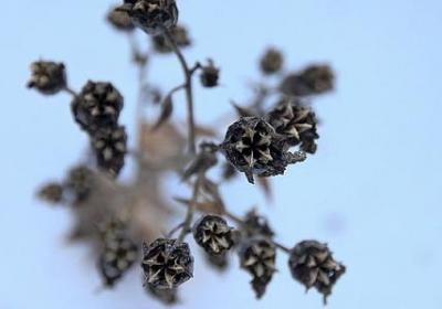 人人平等的句子(优选10句)