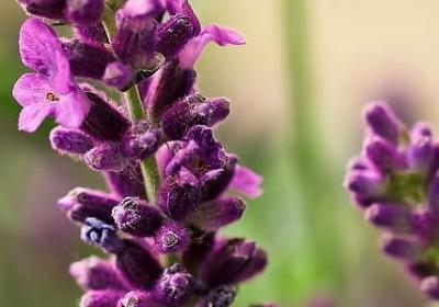 人工阻止降雪的句子(25句)