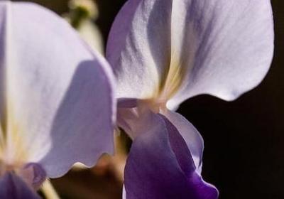 人在天堂钱在银行句子(实用10句)