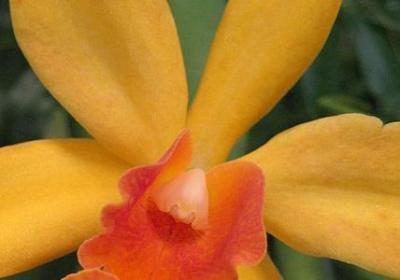 人性不够舒展的句子(必备50句)