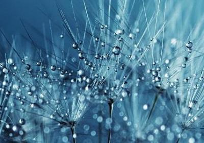 人性的光辉 句子(精选80句)