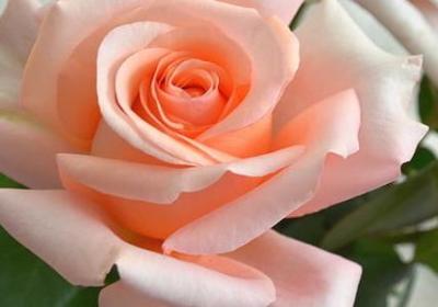 人物描写的句子100字(必备60句)