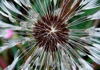 人生不如意事的句子(热门60句)