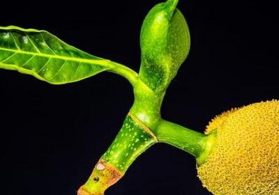 人物的外貌描写的句子(优选50句)